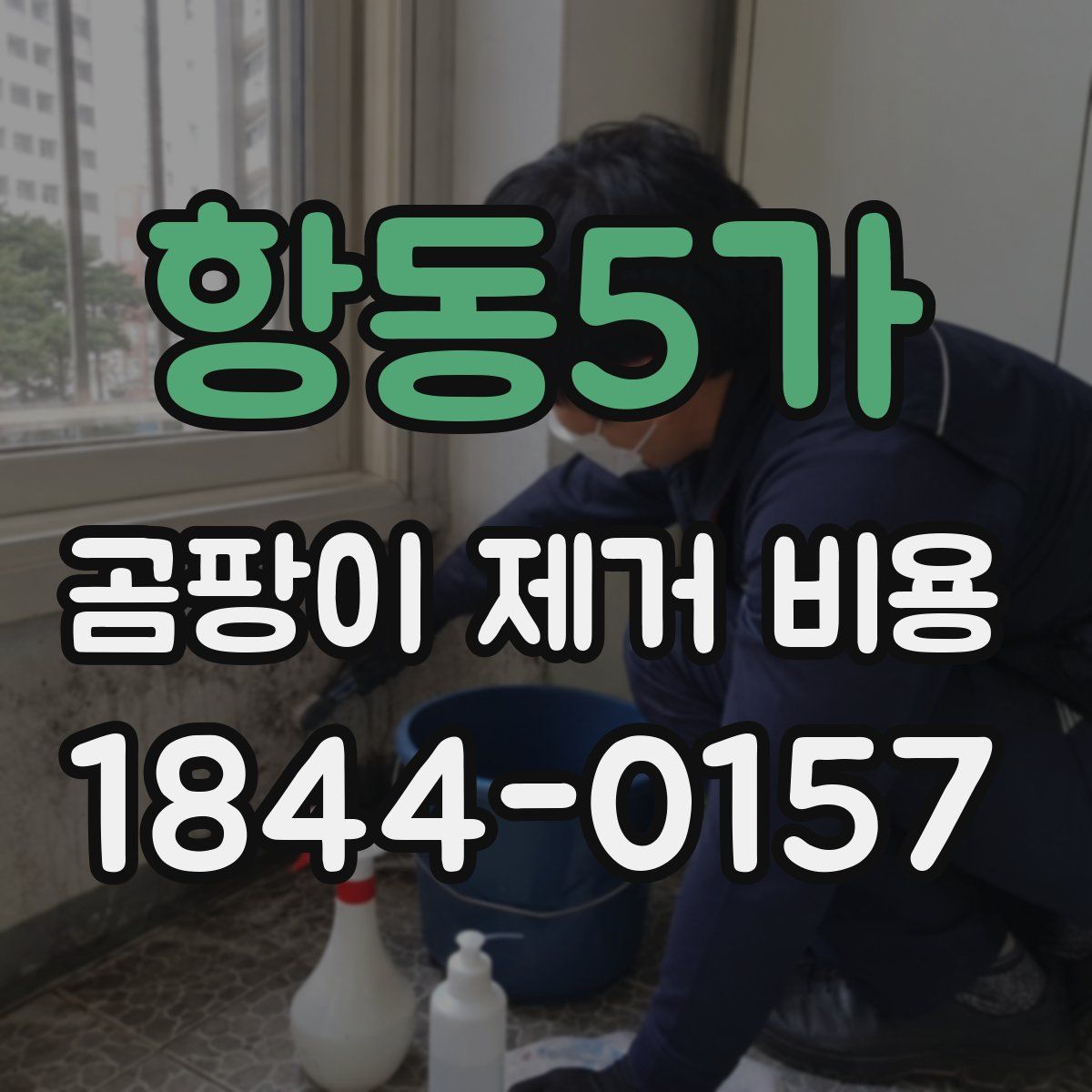 항동5가 곰팡이 제거 비용