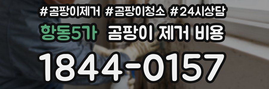 항동5가 곰팡이 제거 비용