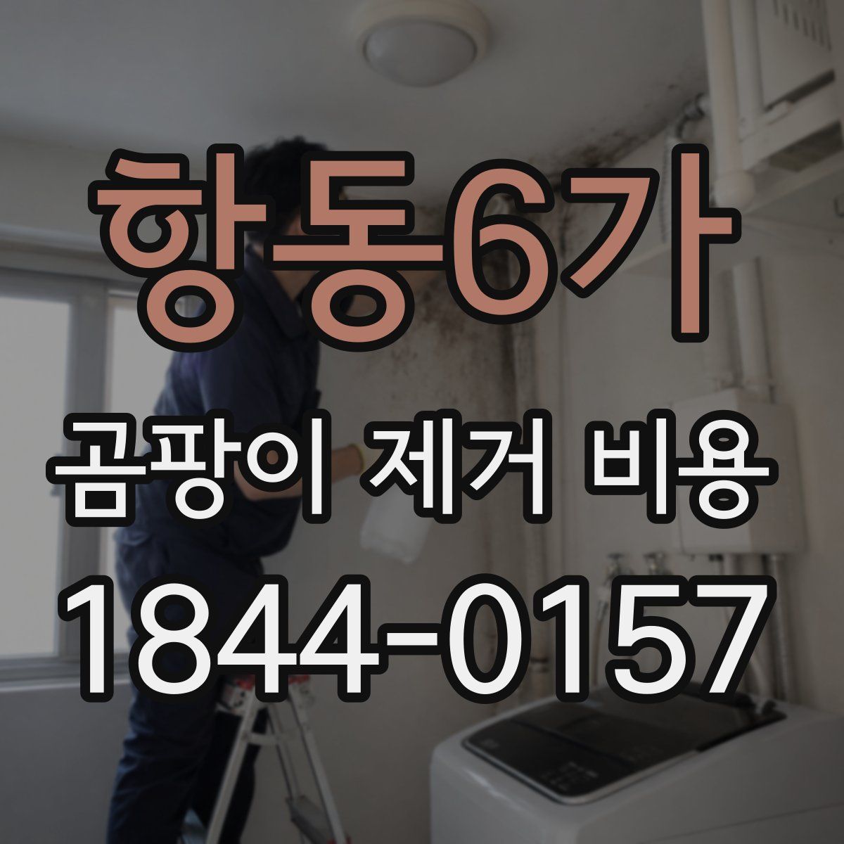 항동6가 곰팡이 제거 비용