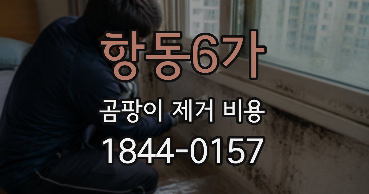 항동6가 곰팡이 제거 비용