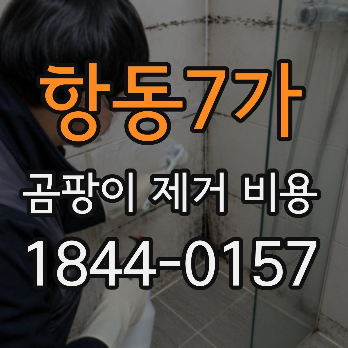 항동7가 곰팡이 제거 비용 상가 내부 오염과 세대별 주거공간 차이