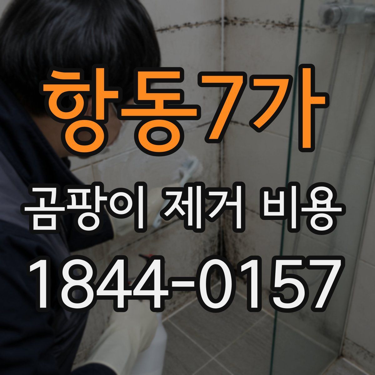 항동7가 곰팡이 제거 비용