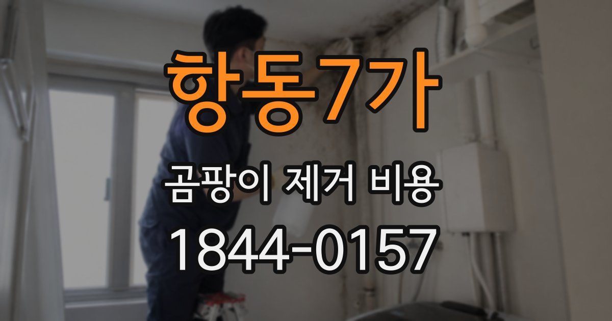 항동7가 곰팡이 제거 비용