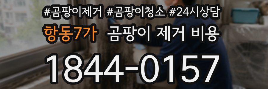 항동7가 곰팡이 제거 비용