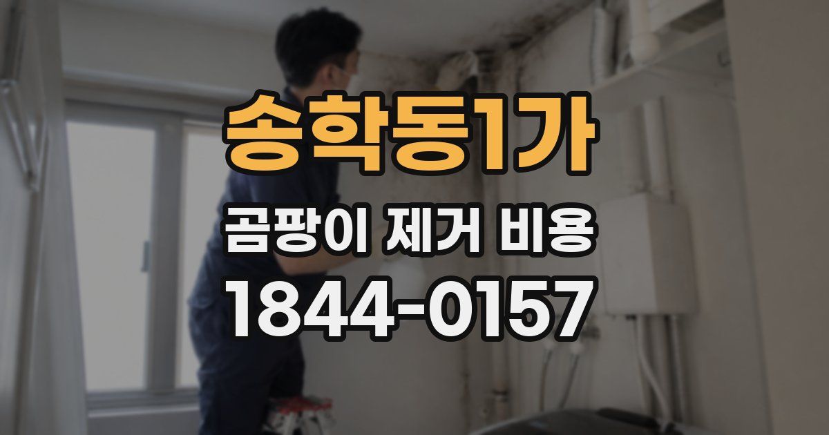송학동1가 곰팡이 제거 비용
