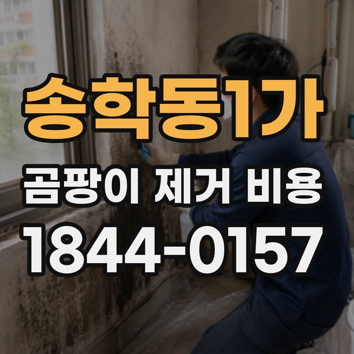 송학동1가 곰팡이 제거 비용