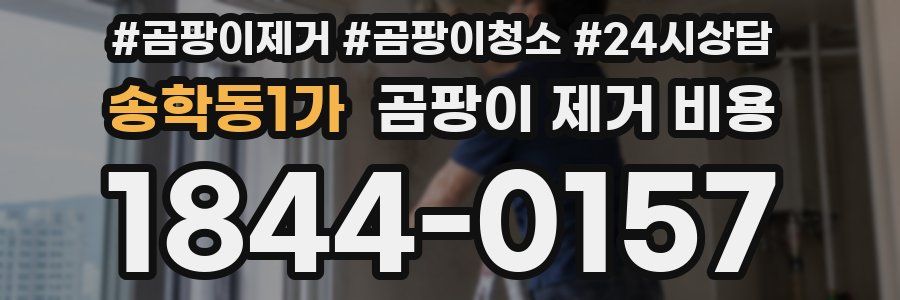 송학동1가 곰팡이 제거 비용