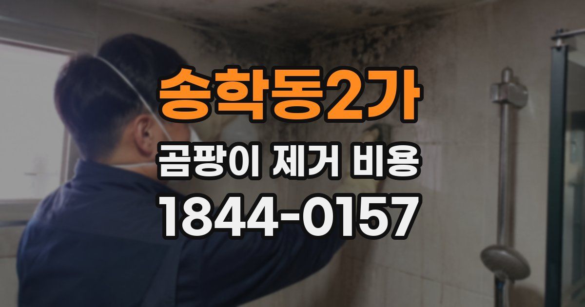 송학동2가 곰팡이 제거 비용