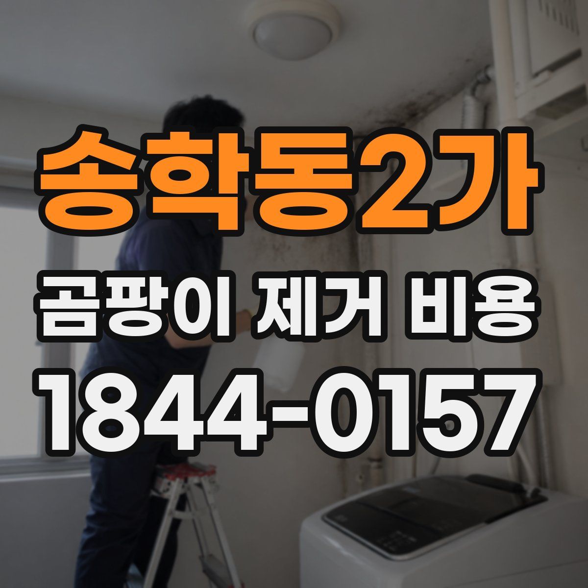 송학동2가 곰팡이 제거 비용