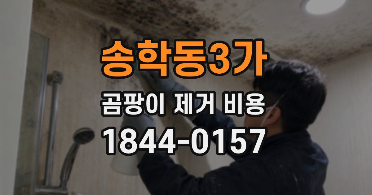 송학동3가 곰팡이 제거 비용