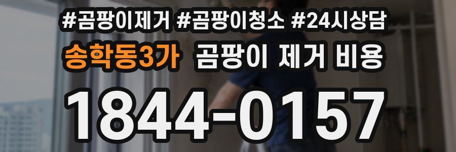 송학동3가 곰팡이 제거 비용