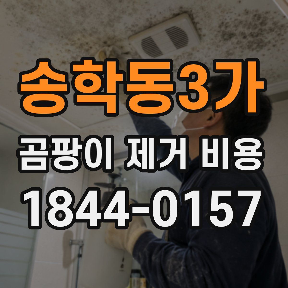 송학동3가 곰팡이 제거 비용