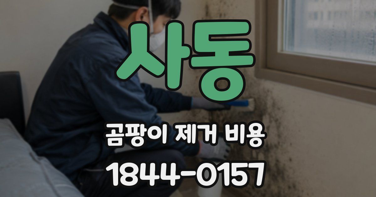사동 곰팡이 제거 비용