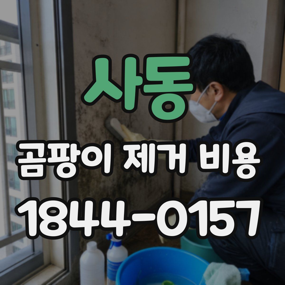 사동 곰팡이 제거 비용