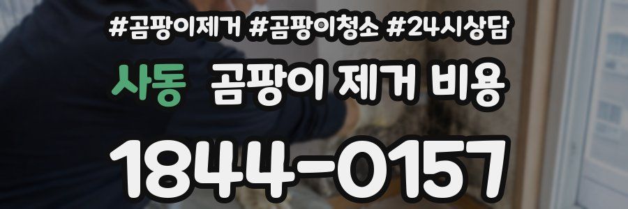 사동 곰팡이 제거 비용