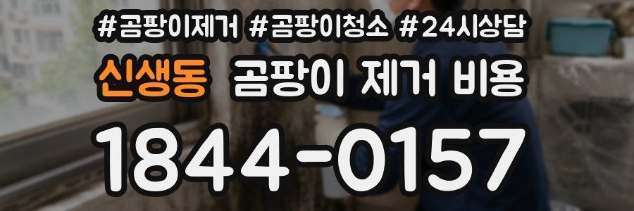 신생동 곰팡이 제거 비용