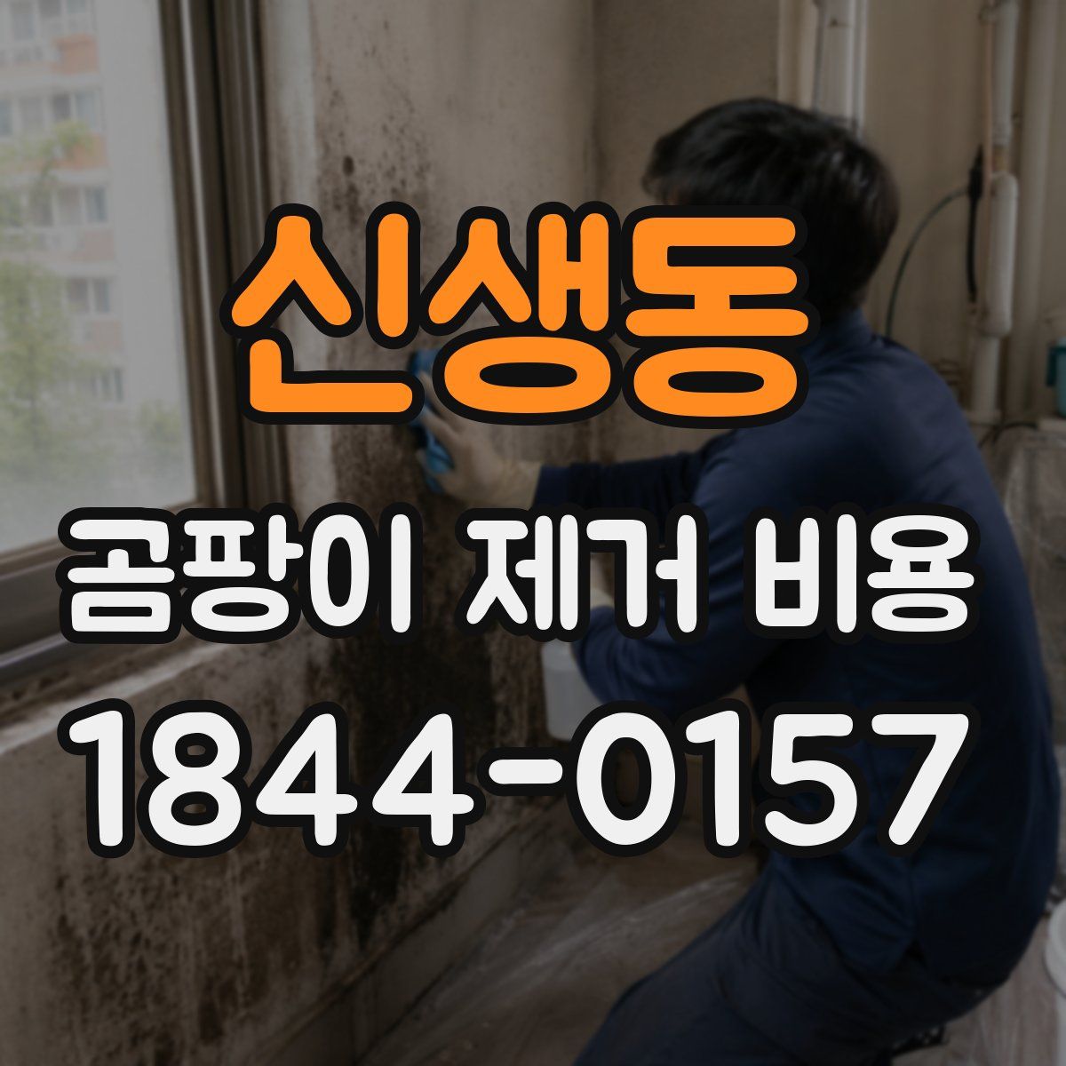 신생동 곰팡이 제거 비용