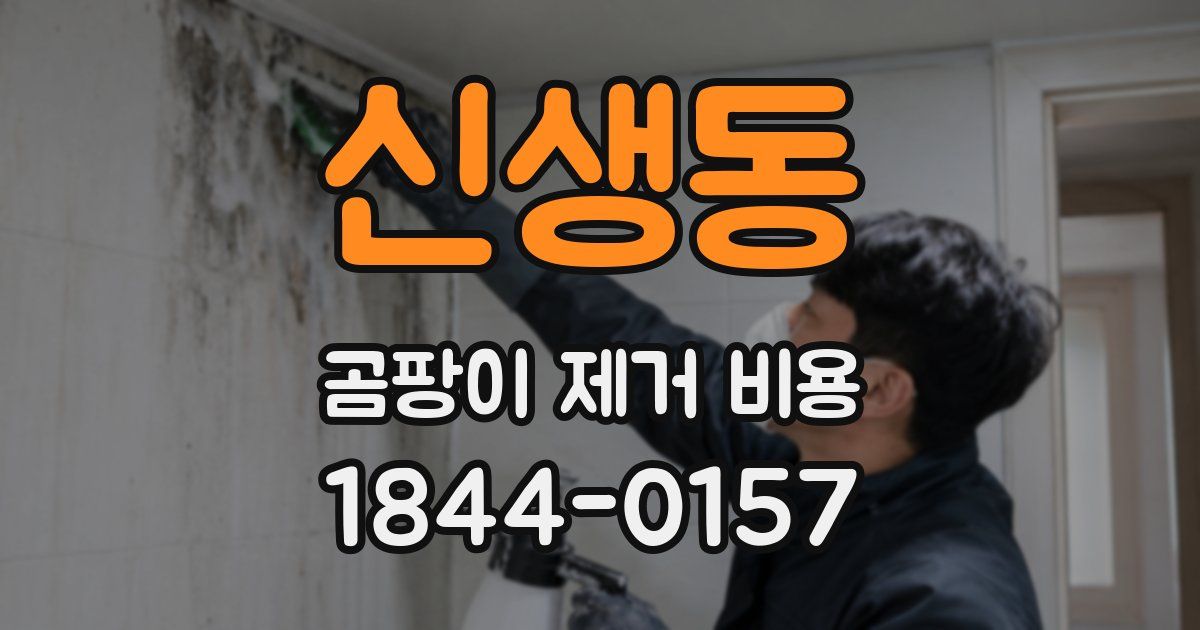 신생동 곰팡이 제거 비용