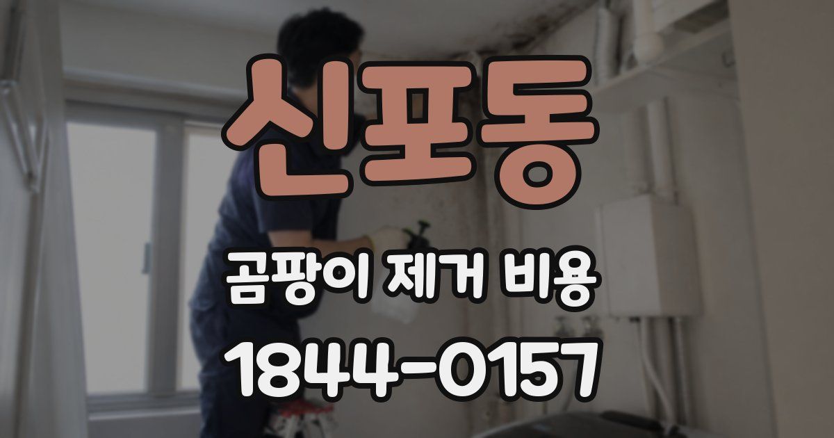 신포동 곰팡이 제거 비용