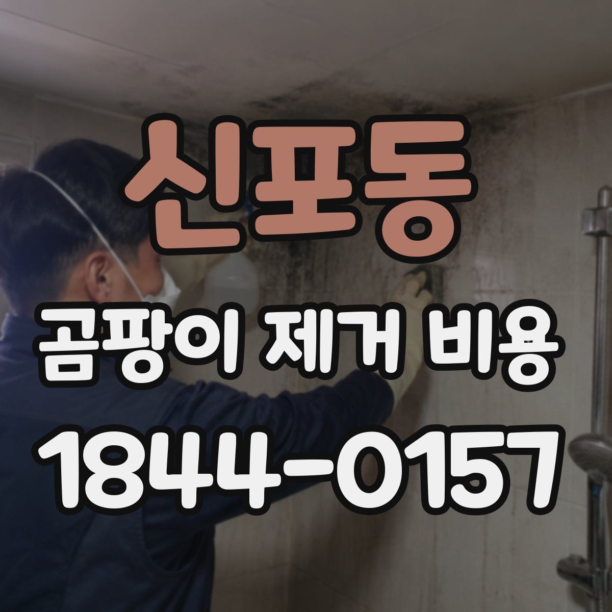 신포동 곰팡이 제거 비용