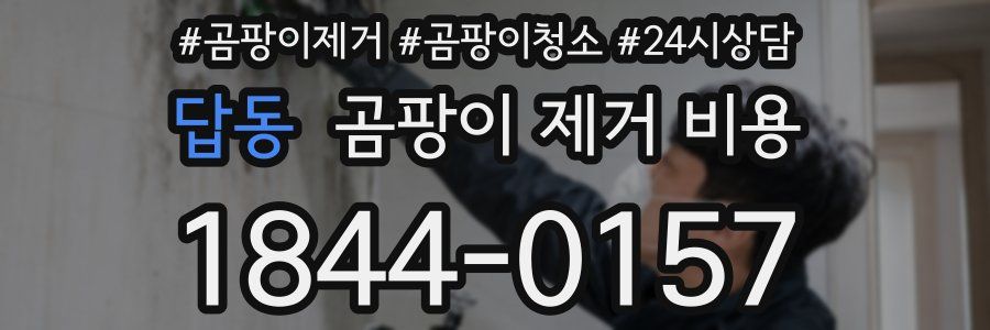 답동 곰팡이 제거 비용