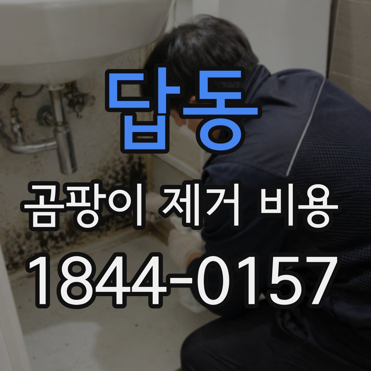 답동 곰팡이 제거 비용