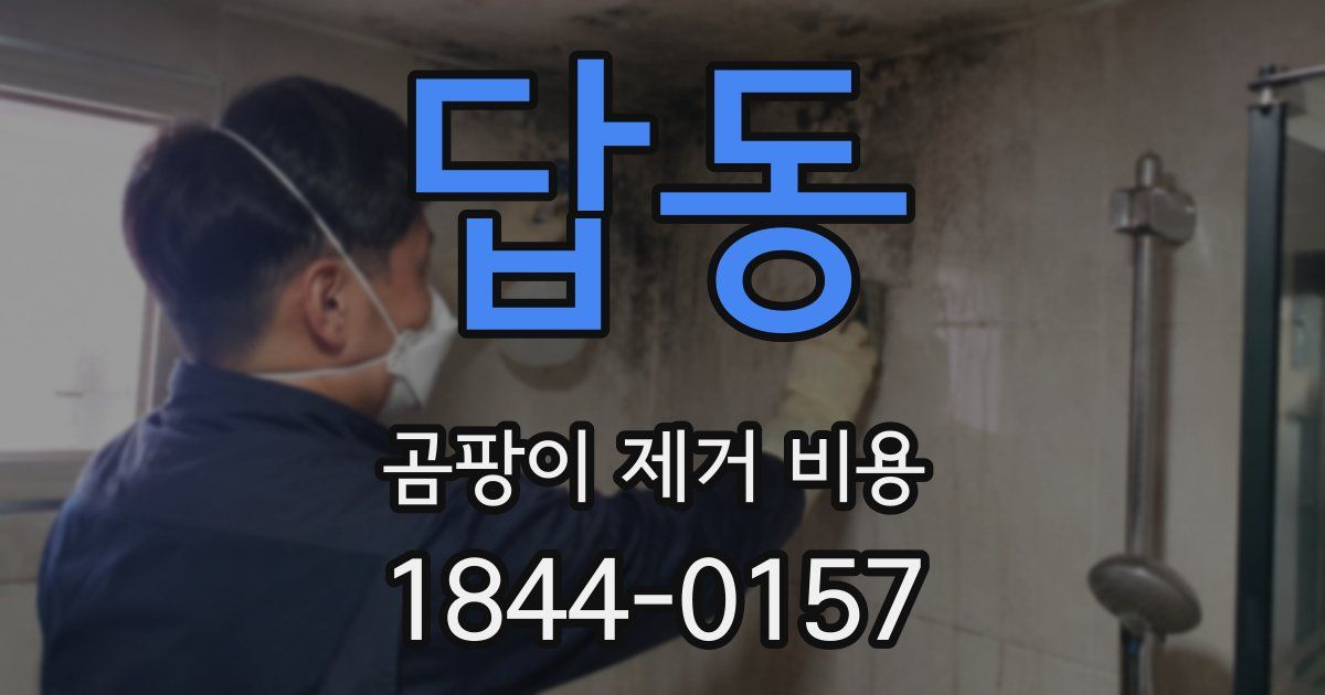 답동 곰팡이 제거 비용