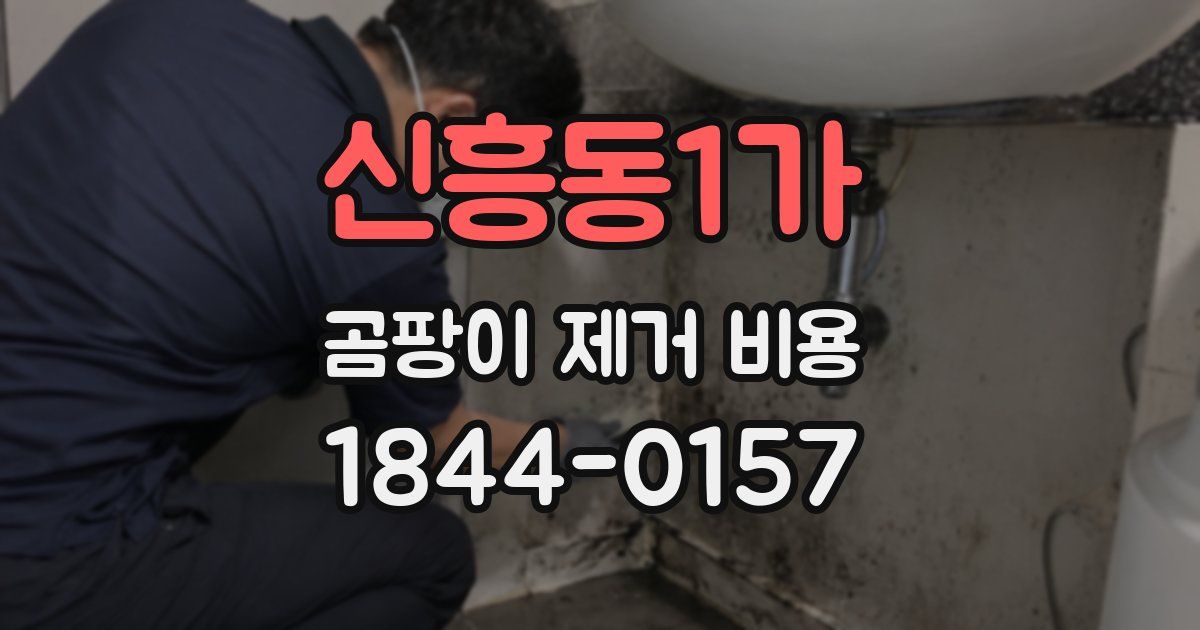 신흥동1가 곰팡이 제거 비용