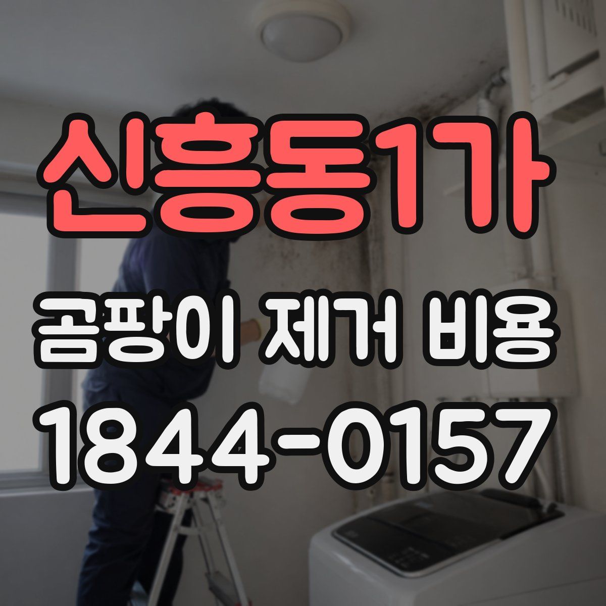신흥동1가 곰팡이 제거 비용