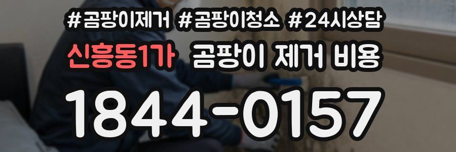 신흥동1가 곰팡이 제거 비용