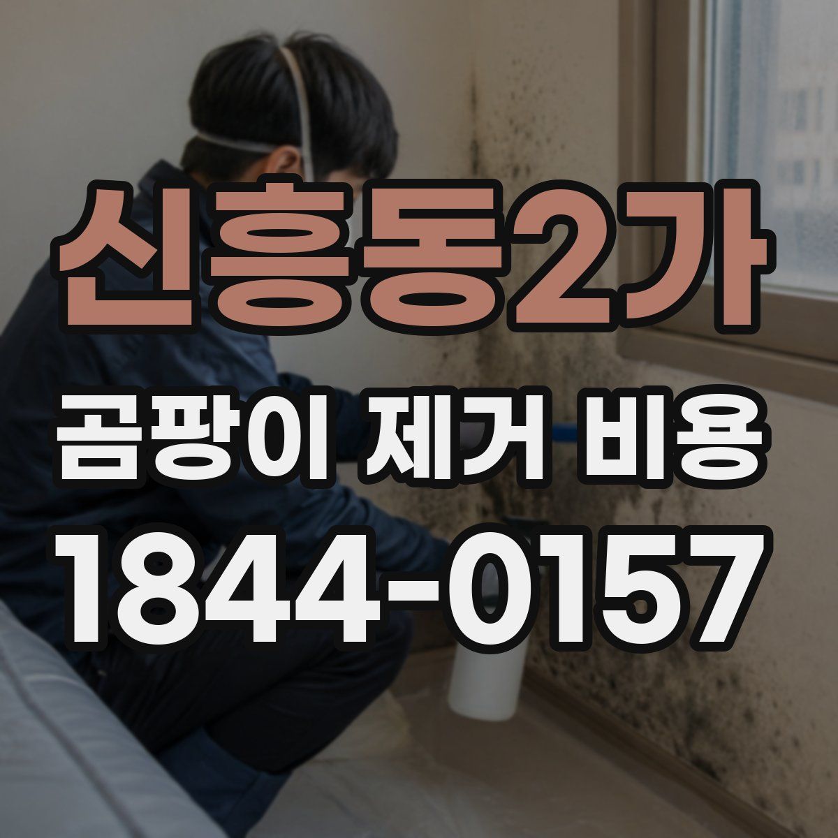 신흥동2가 곰팡이 제거 비용