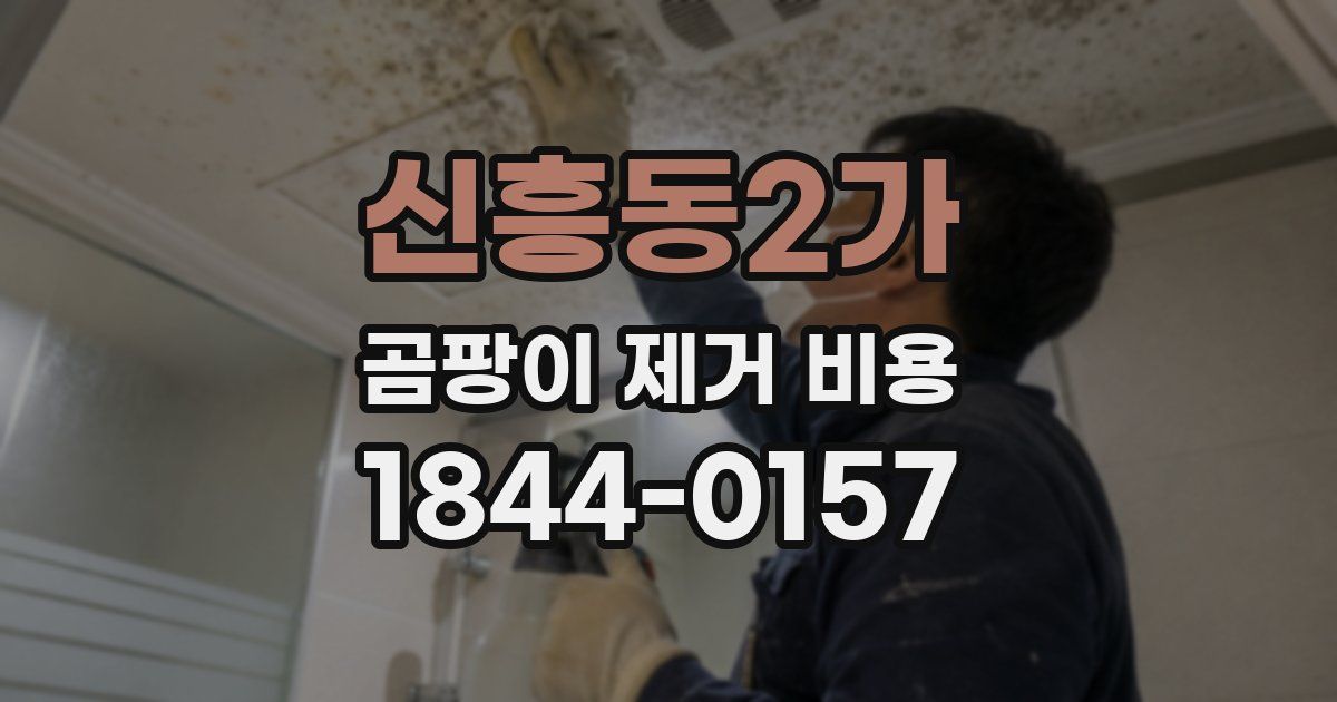 신흥동2가 곰팡이 제거 비용