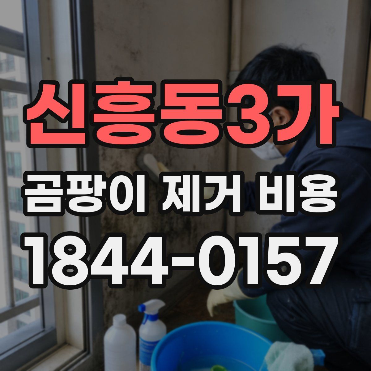 신흥동3가 곰팡이 제거 비용