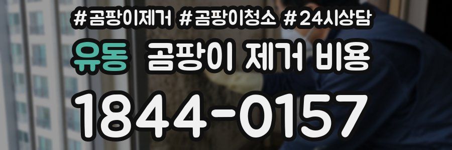 유동 곰팡이 제거 비용