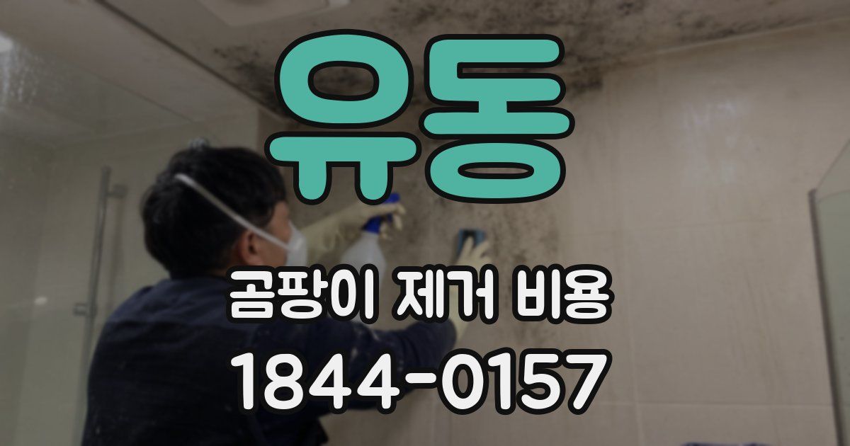 유동 곰팡이 제거 비용