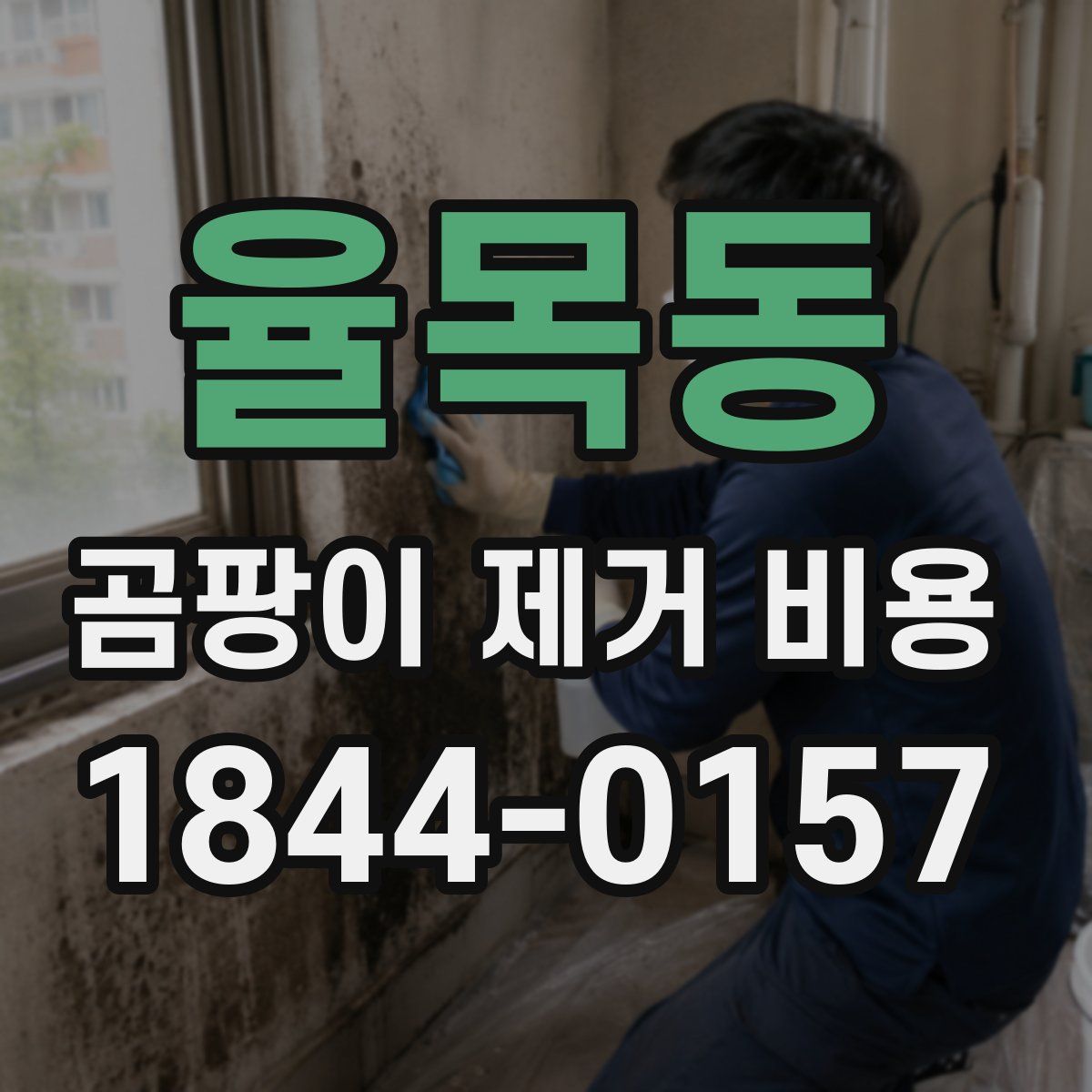 율목동 곰팡이 제거 비용