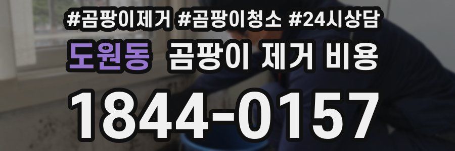 도원동 곰팡이 제거 비용