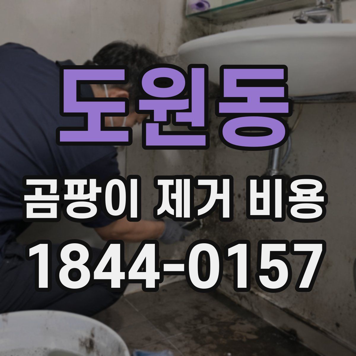 도원동 곰팡이 제거 비용