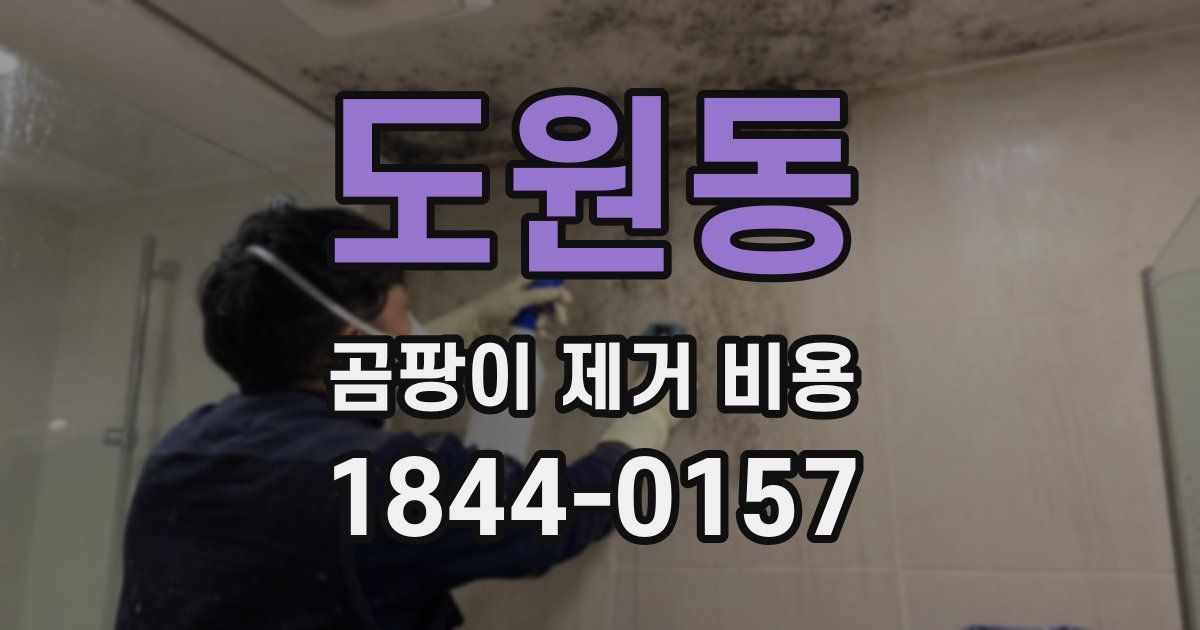 도원동 곰팡이 제거 비용