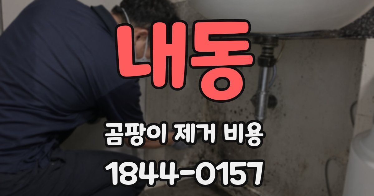 내동 곰팡이 제거 비용