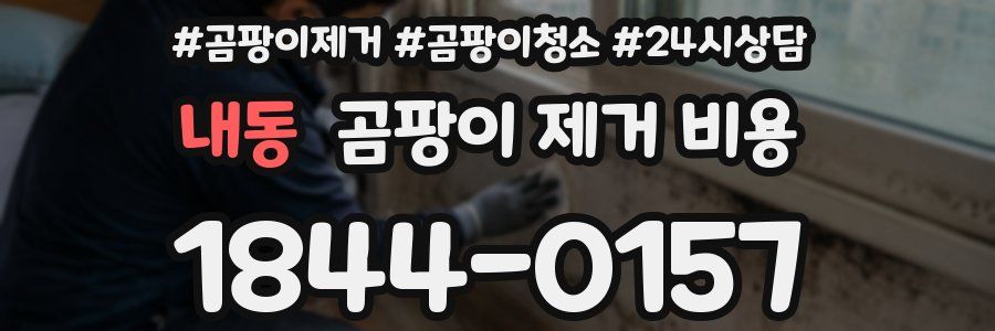 내동 곰팡이 제거 비용