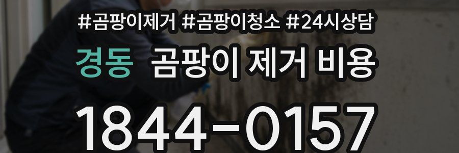 경동 곰팡이 제거 비용