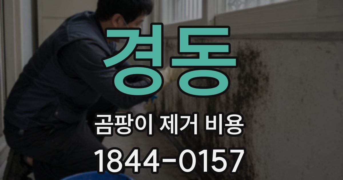 경동 곰팡이 제거 비용
