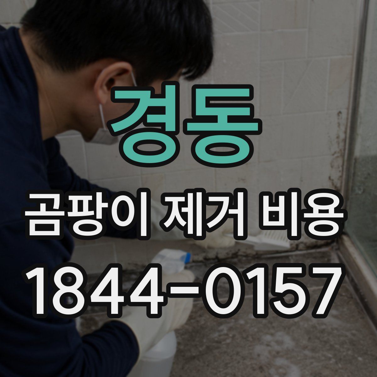 경동 곰팡이 제거 비용