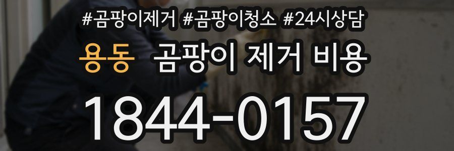 용동 곰팡이 제거 비용