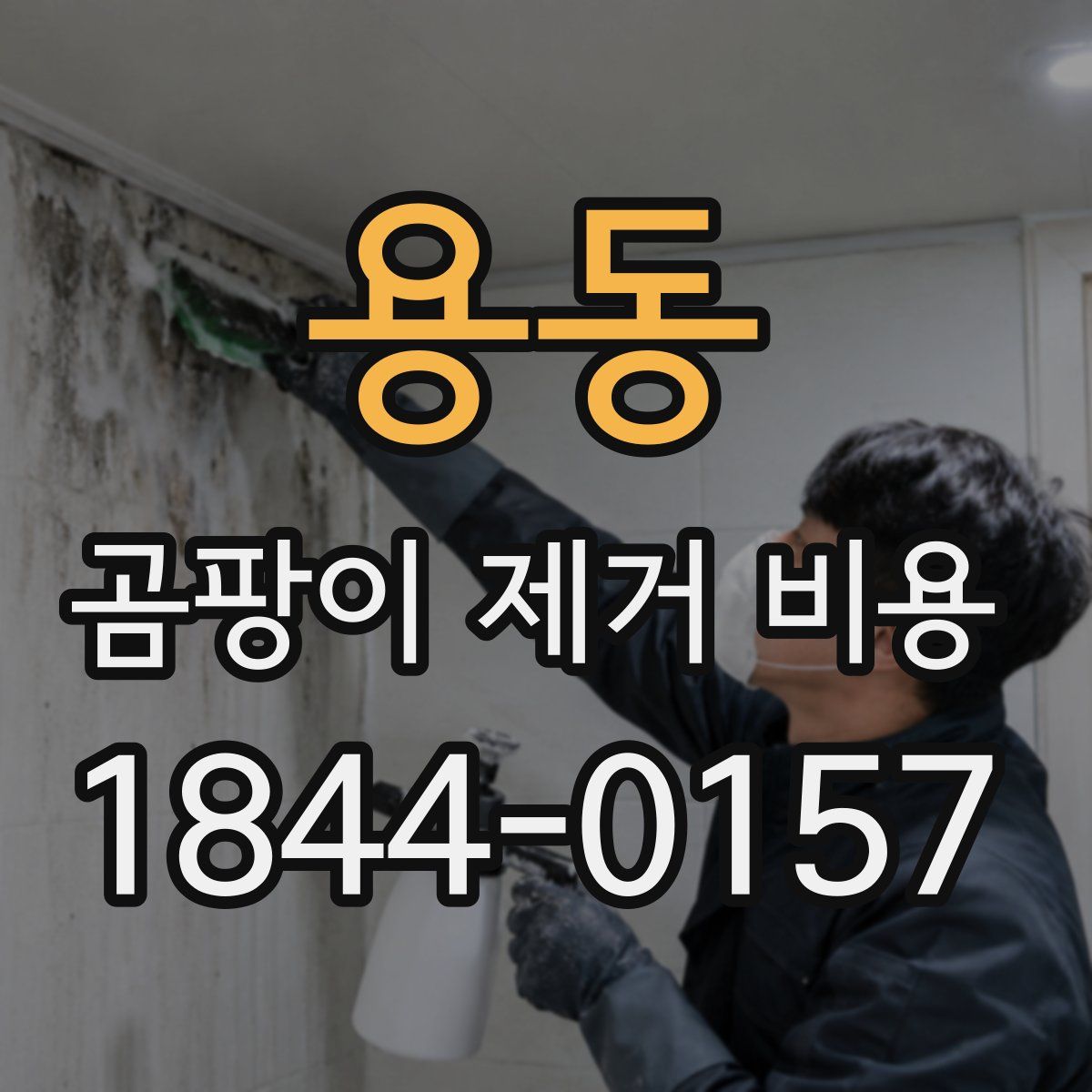 용동 곰팡이 제거 비용