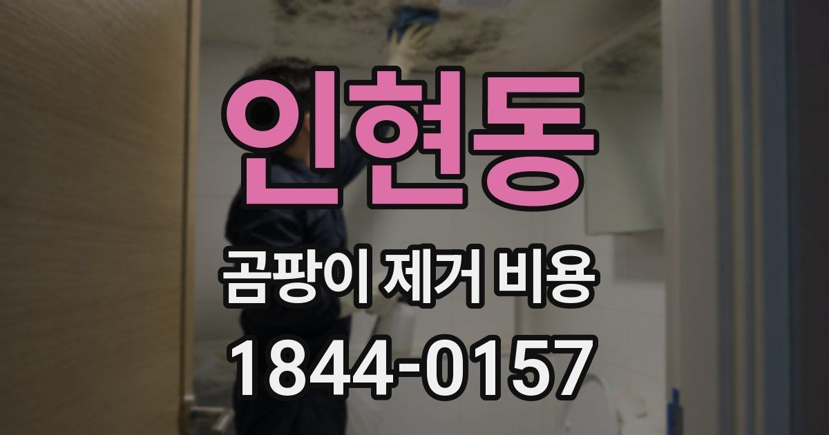 인현동 곰팡이 제거 비용