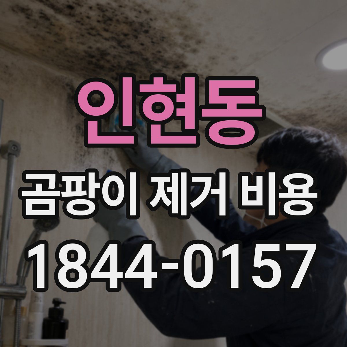 인현동 곰팡이 제거 비용