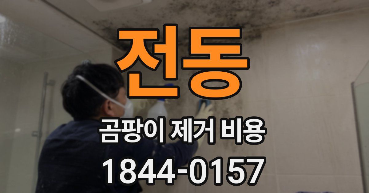 전동 곰팡이 제거 비용