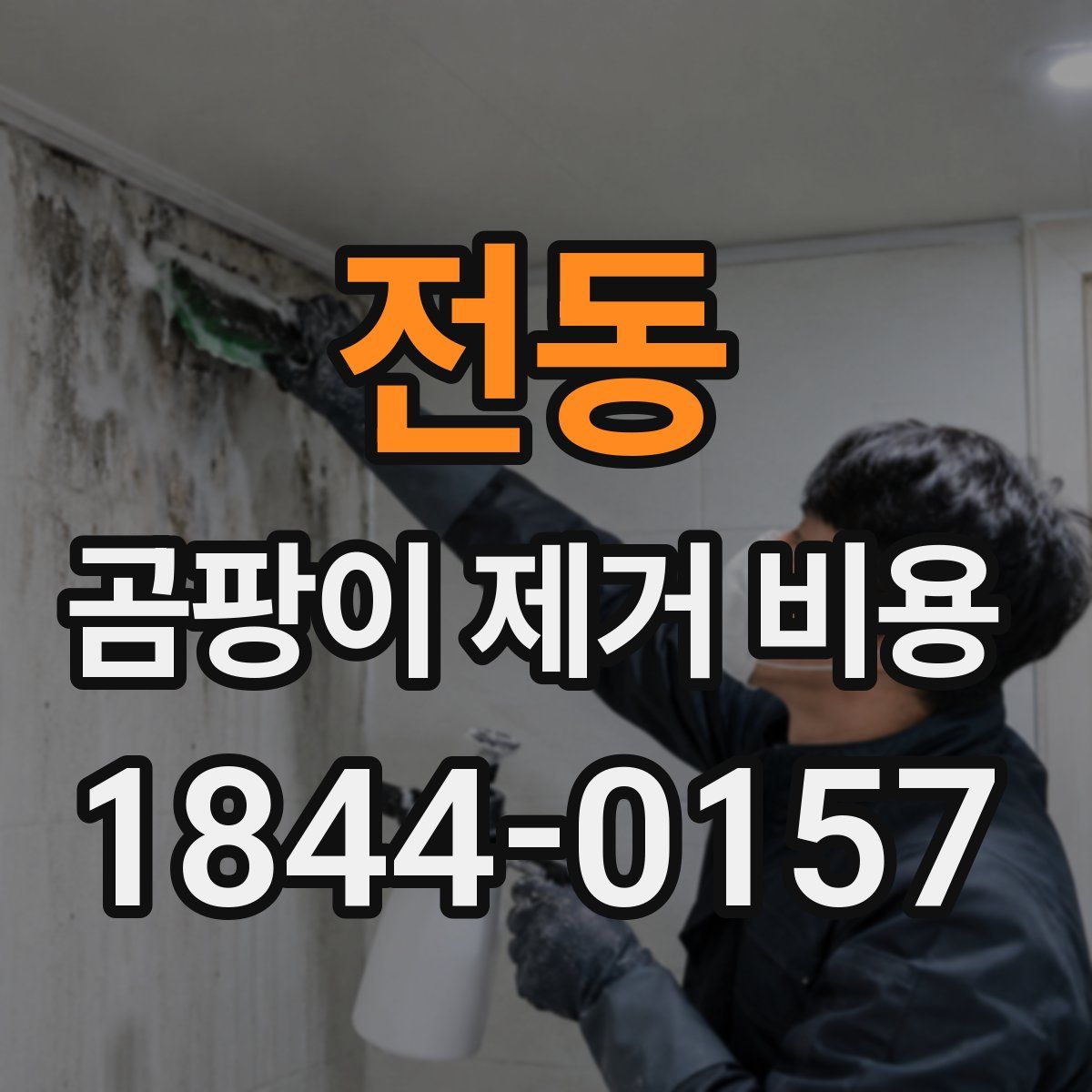 전동 곰팡이 제거 비용